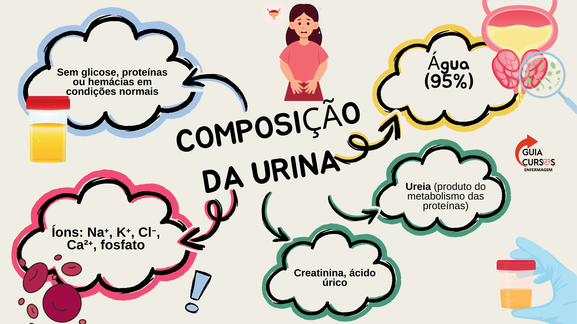 Anatomia e Fisiologia DE TODOS OS SISTEMAS.pdf (4)