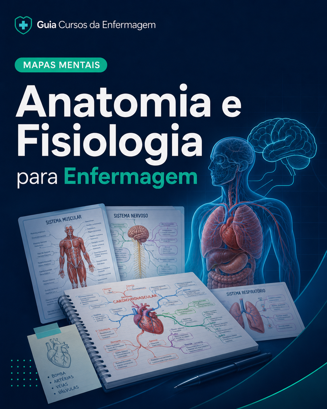 Mapas Mentais de Anatomia e Fisiologia